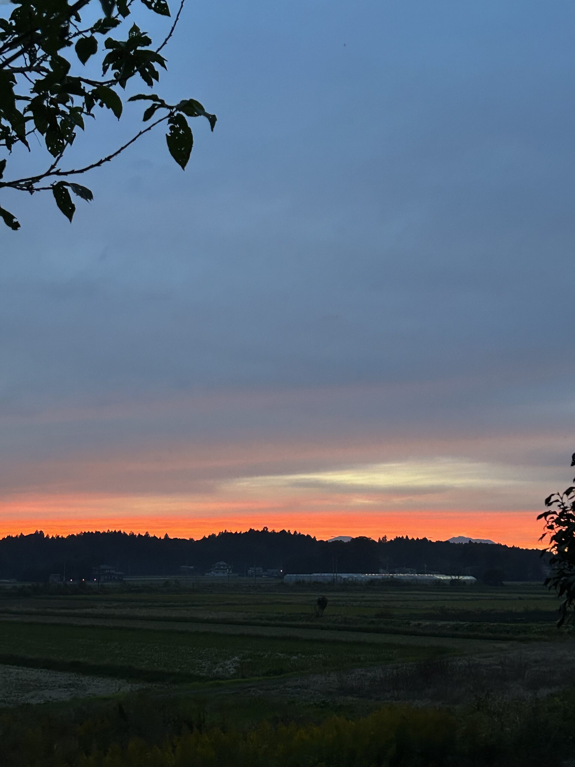 12月営業ご案内